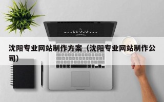 汉中沈阳专业网站制作方案（沈阳专业网站制作公司）